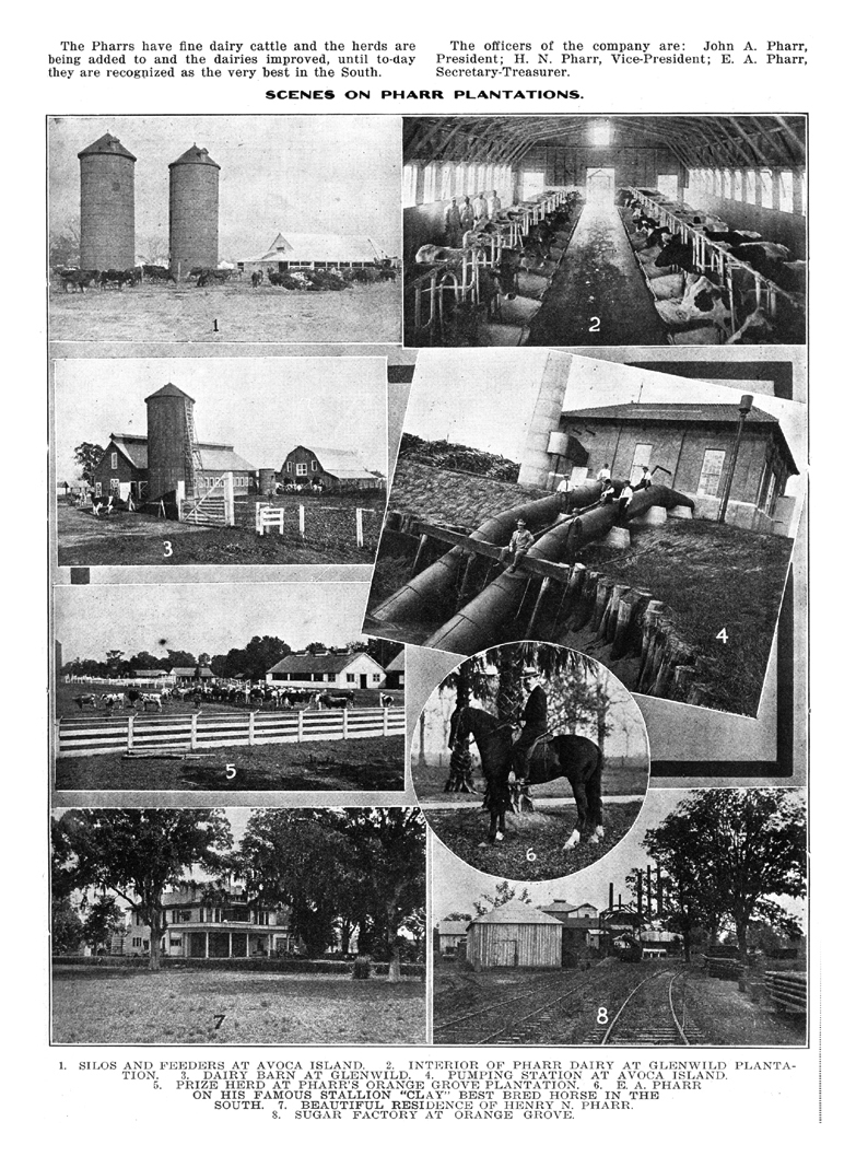 J. N. Pharr & Sons' Orange Grove Plantation at Olivier, Louisiana