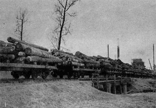 Frost Lumber Company at Jasper, Texas