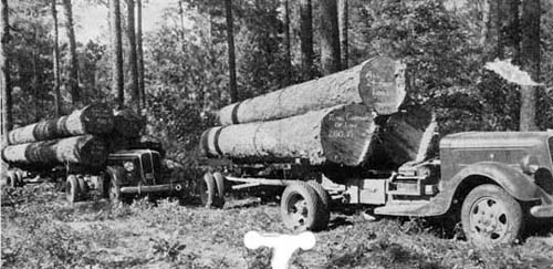 Frost-Johnson Lumber Company at Nacogdoches, Texas
